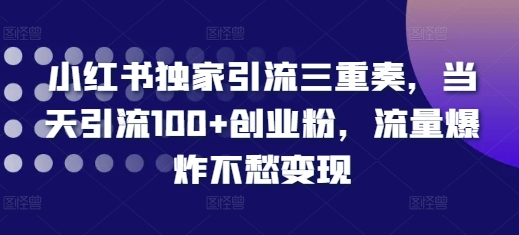小红书独家引流三重奏，当天引流100+创业粉，流量爆炸不愁变现【揭秘】-点子口袋网