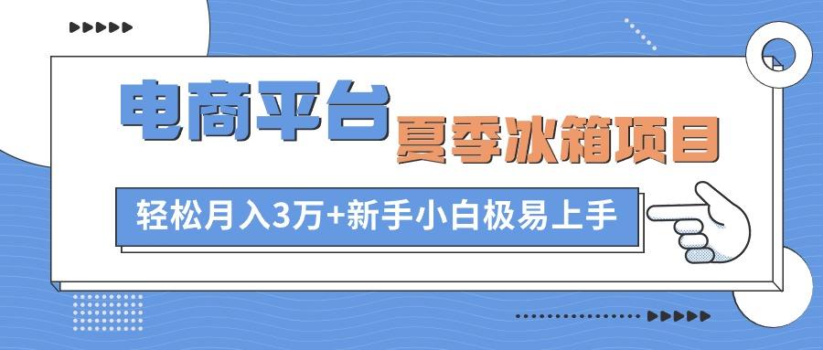 电商平台夏季冰箱项目，轻松月入3万+，新手小白极易上手-点子口袋网