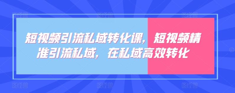 短视频引流私域转化课，短视频精准引流私域，在私域高效转化-点子口袋网
