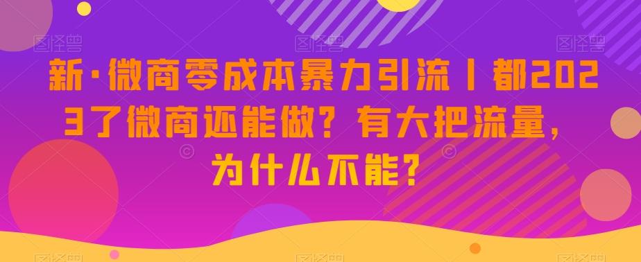 新·微商零成本暴力引流丨都2023了微商还能做？有大把流量，为什么不能？-点子口袋网