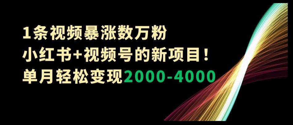 1条视频暴涨数万粉--小红书+视频号的新项目！单月轻松变现2000-4000【揭秘】-点子口袋网