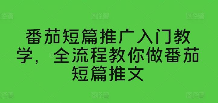 番茄短篇推广入门教学，全流程教你做番茄短篇推文-点子口袋网