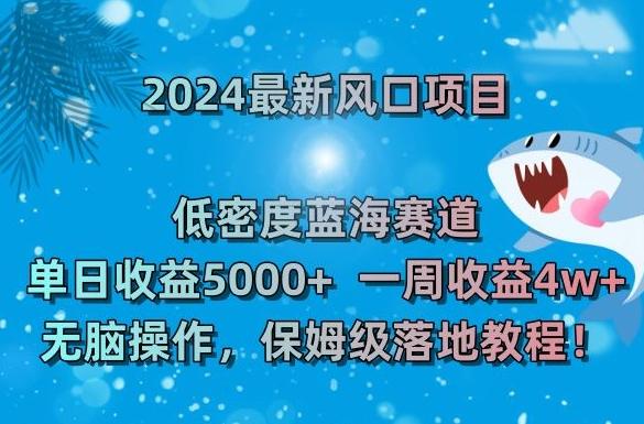 2024最新风口项目，低密度蓝海赛道，单日收益5000+，一周收益4w+！【揭秘】-点子口袋网