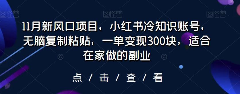 11月新风口项目，小红书冷知识账号，无脑复制粘贴，一单变现300块，适合在家做的副业-点子口袋网