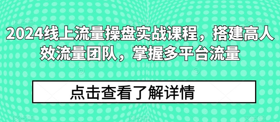2024线上流量操盘实战课程，搭建高人效流量团队，掌握多平台流量-点子口袋网