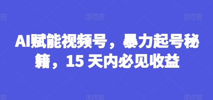 AI赋能视频号，暴力起号秘籍，15 天内必见收益【揭秘】-点子口袋网