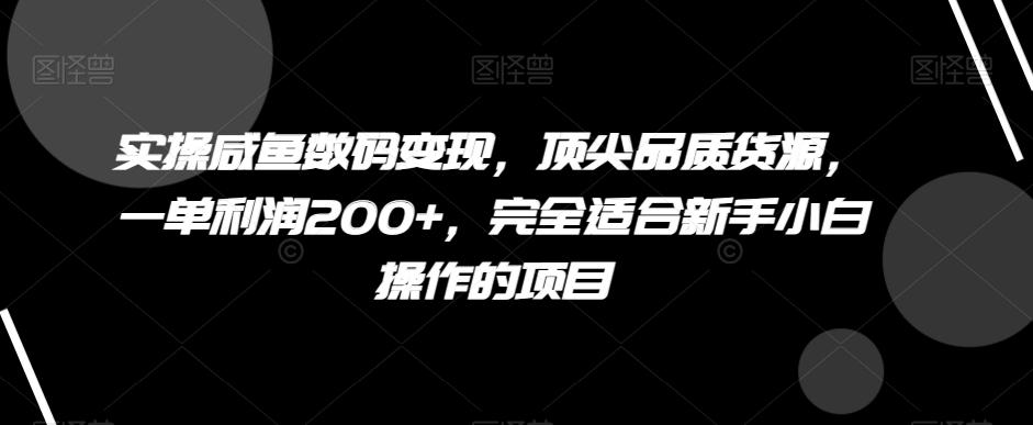 实操咸鱼数码变现，顶尖品质货源，一单利润200+，完全适合新手小白操作的项目【揭秘】-点子口袋网