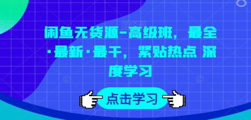闲鱼无货源-高级班，最全·最新·最干，紧贴热点 深度学习-点子口袋网