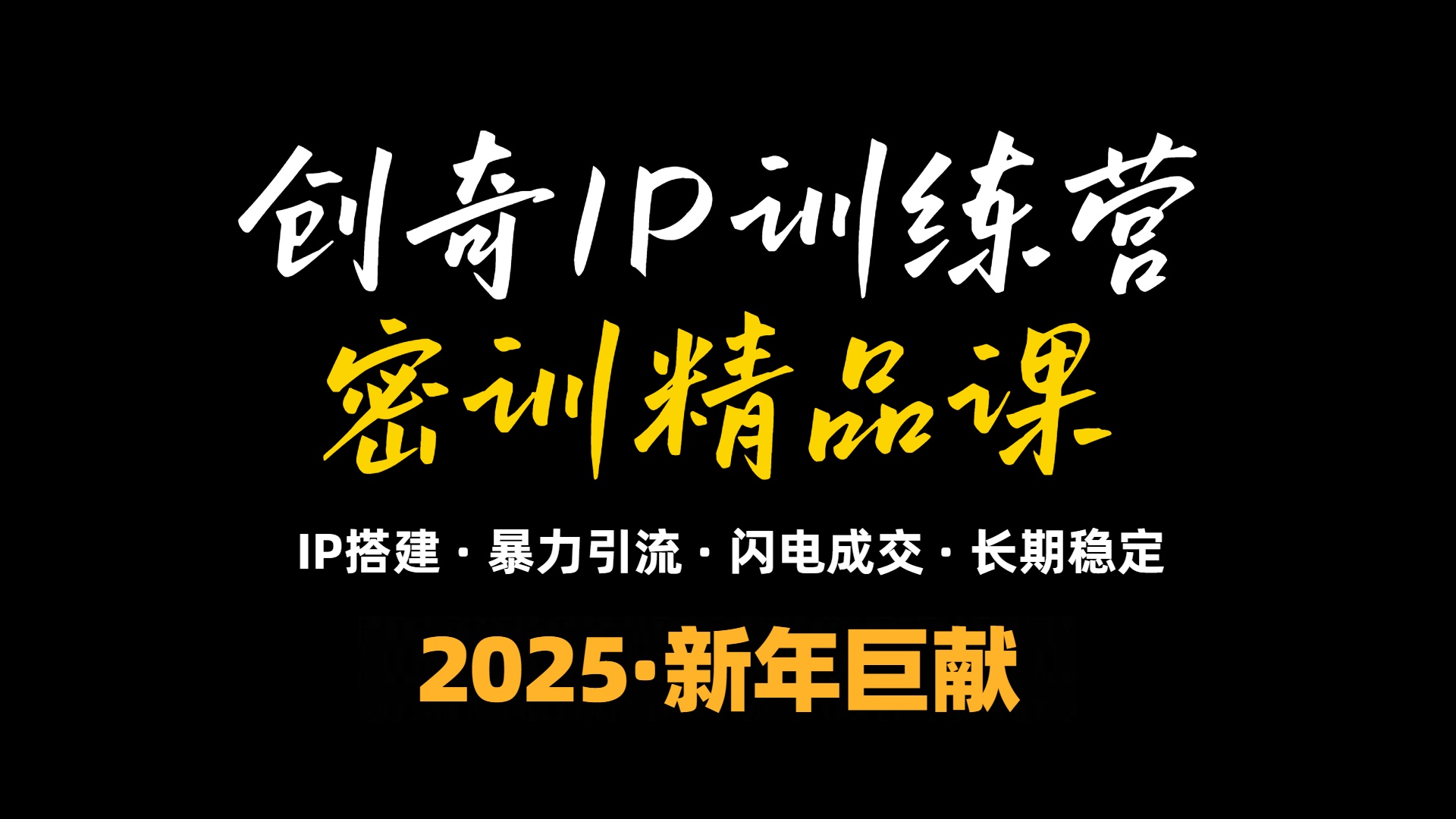 2025年“知识付费IP训练营”小白避坑年赚百万，暴力引流，闪电成交-点子口袋网