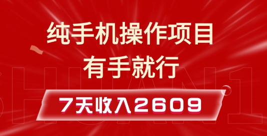 纯手机操作的小项目，有手就能做，7天收入2609+实操教程【揭秘】-点子口袋网
