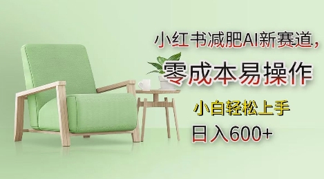 小红书减肥AI新赛道，零成本易操作，日入多张，小白轻松上手【揭秘】-点子口袋网