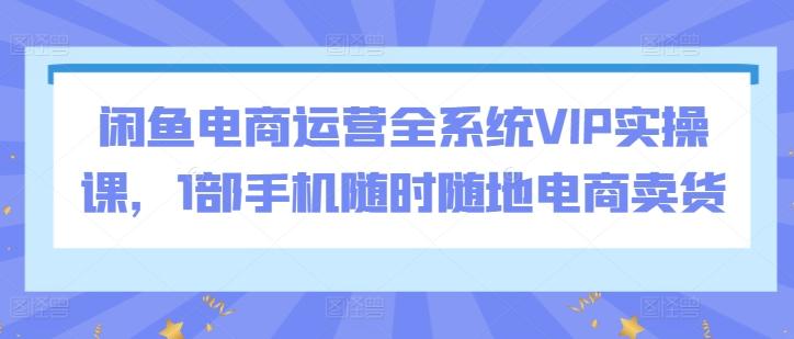 闲鱼电商运营全系统VIP实操课，1部手机随时随地电商卖货-点子口袋网