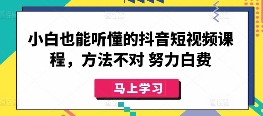 小白也能听懂的抖音短视频课程，方法不对 努力白费-点子口袋网