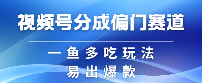视频号创作者分成计划偏门类目，容易爆流，实拍内容简单易做【揭秘】-点子口袋网