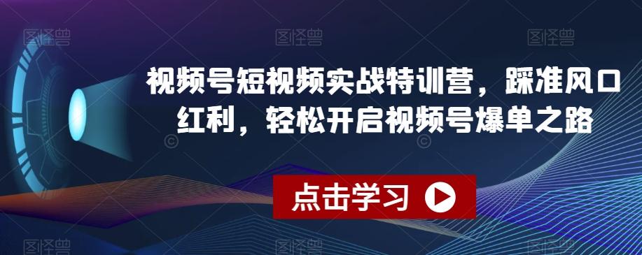 视频号短视频实战特训营，踩准风口红利，轻松开启视频号爆单之路-点子口袋网