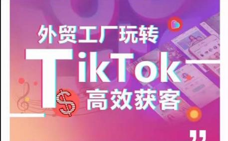外贸工厂玩转TikTok高效获客，多种引流方式与账号定位技巧，拆解爆款短视频打造成功案例-点子口袋网