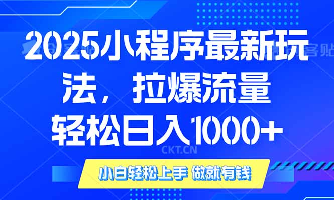 2025年小程序最新玩法，流量直接拉爆，单日稳定变现1000+-点子口袋网