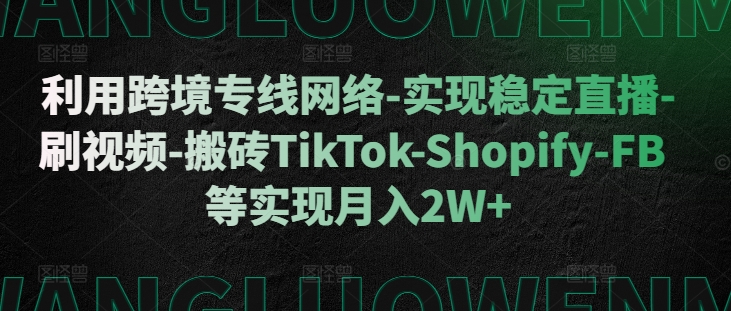 利用跨境专线网络-实现稳定直播-刷视频-搬砖TikTok-Shopify-FB等实现月入2W+【揭秘】-点子口袋网