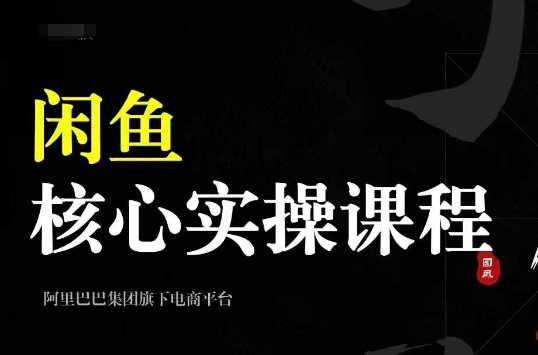 2024闲鱼核心实操课程，从养号、选品、发布、销售，教你做一个出单的闲鱼号-点子口袋网