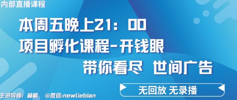 4.26日内部回放课程《项目孵化-开钱眼》赚钱的底层逻辑【揭秘】-点子口袋网