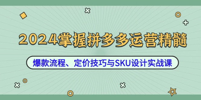 2024掌握拼多多运营精髓：爆款流程、定价技巧与SKU设计实战课-云创网