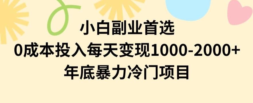 小白副业首选，0成本投入，每天变现1000-2000年底暴力冷门项目【揭秘】-点子口袋网