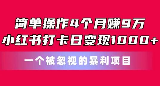 简单操作4个月赚9w，小红书打卡日变现1k，一个被忽视的暴力项目【揭秘】-点子口袋网