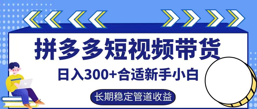 拼多多短视频带货日入300+，实操账户展示看就能学会-点子口袋网