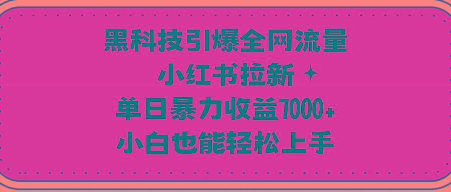 (9679期)黑科技引爆全网流量小红书拉新，单日暴力收益7000+，小白也能轻松上手-点子口袋网
