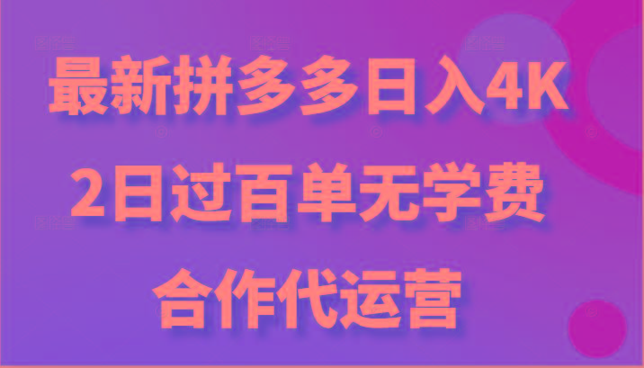 最新拼多多，日入4K+，2日过百单无学费，合作代运营-点子口袋网