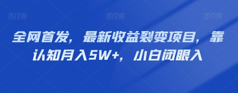 全网首发，最新收益裂变项目，靠认知月入5W+，小白闭眼入-点子口袋网