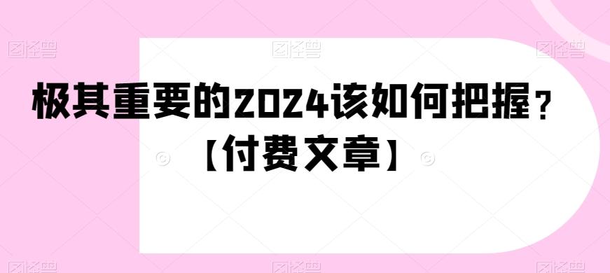 极其重要的2024该如何把握？【付费文章】-点子口袋网
