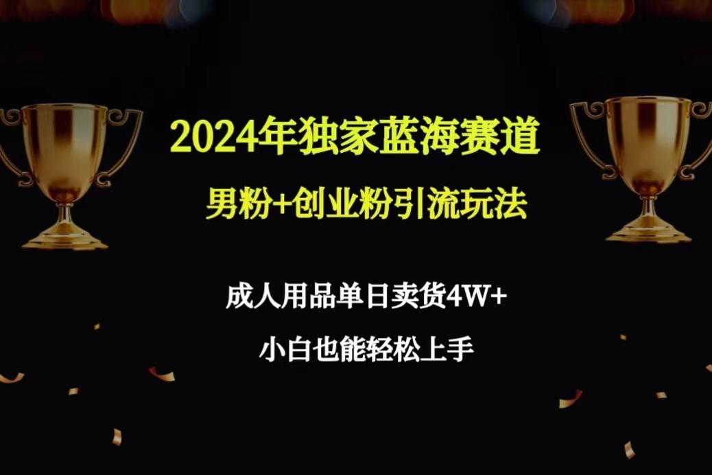 2024年独家蓝海赛道男粉+创业粉引流玩法，成人用品单日卖货4W+保姆教程-点子口袋网