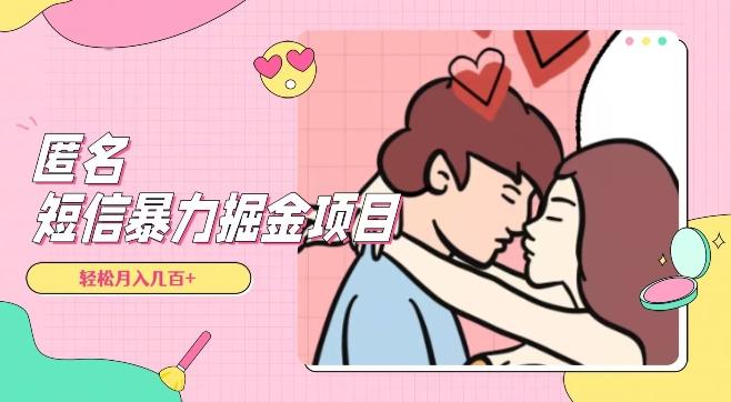 全网首发，揭秘超冷门匿名短信项目，通过信息差日入几百+【揭秘】-点子口袋网