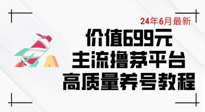 6月最新价值699的主流撸茅台平台精品养号下车攻略【揭秘】-点子口袋网