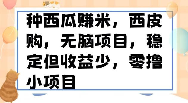 种西瓜赚米，西皮购稳定长久零撸小项目-点子口袋网