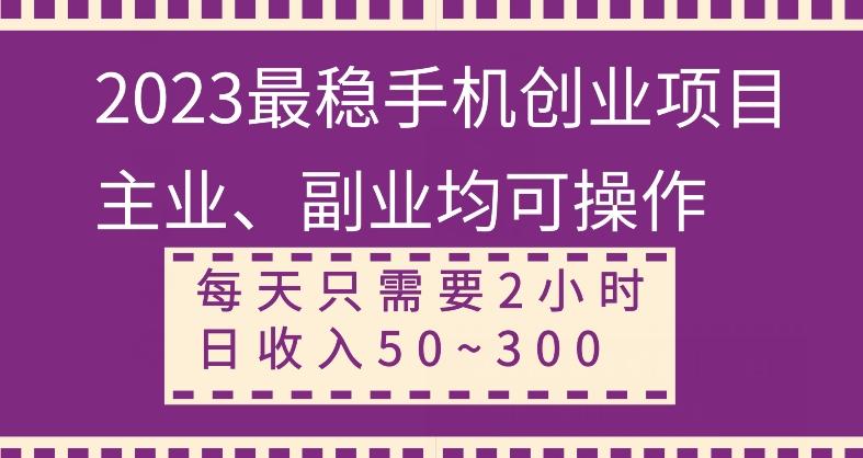 【全网变现首发】新手实操单号日入500+，渠道收益稳定，项目可批量放大-点子口袋网