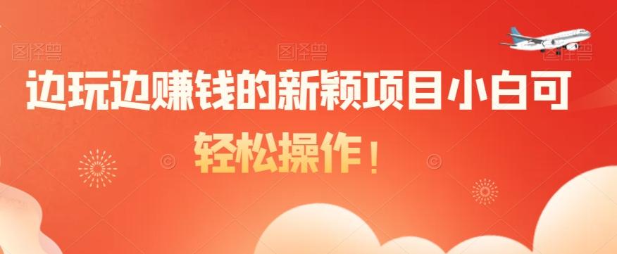 边玩边赚钱的新颖项目小白可轻松操作！-点子口袋网