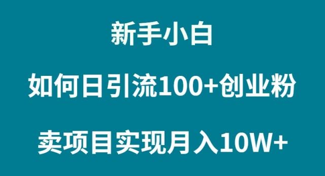 (9556期)新手小白如何通过卖项目实现月入10W+-点子口袋网
