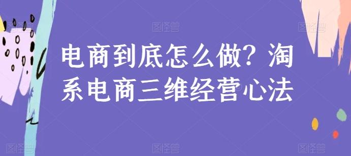 电商到底怎么做？淘系电商三维经营心法-点子口袋网