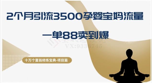 十万个富翁修炼宝典之13.2个月引流3500孕婴宝妈流量，一单88卖到爆-点子口袋网