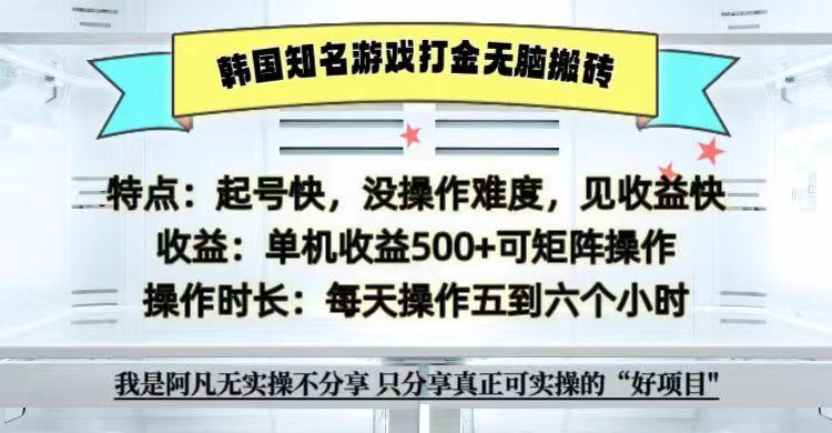 全网首发海外知名游戏打金无脑搬砖单机收益500+ 即做！即赚！当天见收益！-点子口袋网