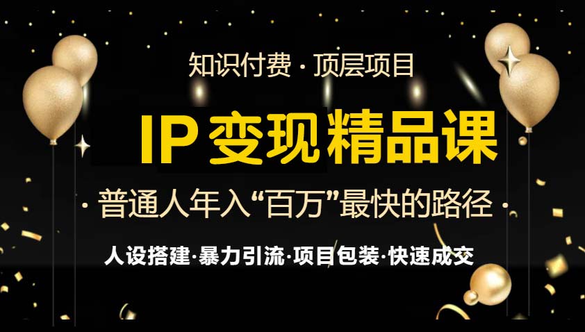 IP变现最新精品课程，知识付费全流程+最强引流术+小白避坑指南-点子口袋网